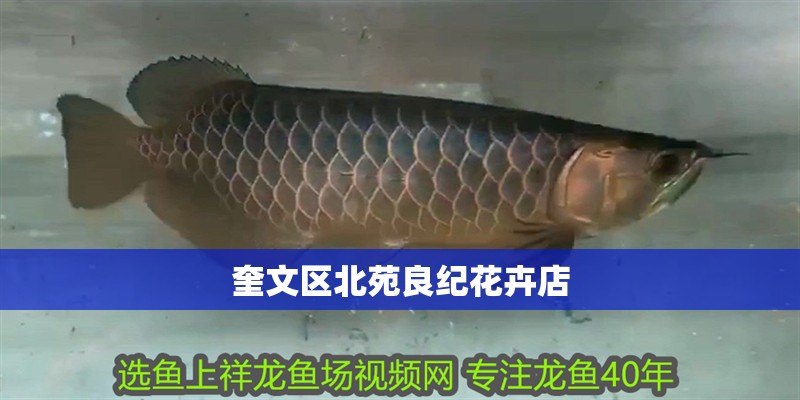 奎文區北苑良紀花卉店