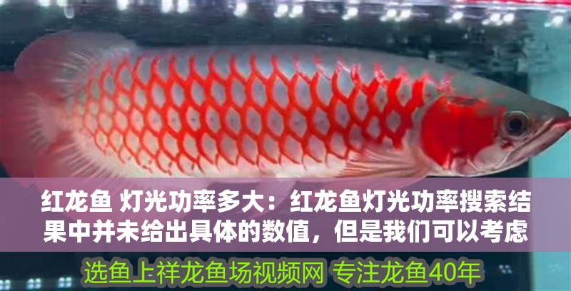 紅龍魚 燈光功率多大：紅龍魚燈光功率搜索結果中并未給出具體的數值，但是我們可以考慮