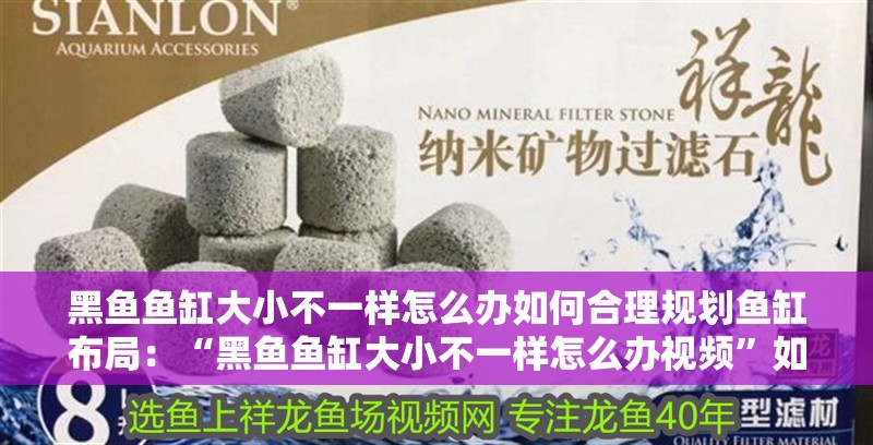 黑魚魚缸大小不一樣怎么辦如何合理規(guī)劃魚缸布局：“黑魚魚缸大小不一樣怎么辦視頻”如何合理規(guī)劃魚缸布局