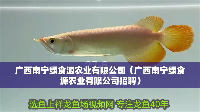 廣西南寧綠食源農(nóng)業(yè)有限公司（廣西南寧綠食源農(nóng)業(yè)有限公司招聘）