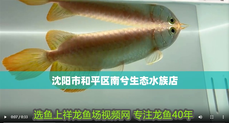 沈陽市和平區(qū)南兮生態(tài)水族店