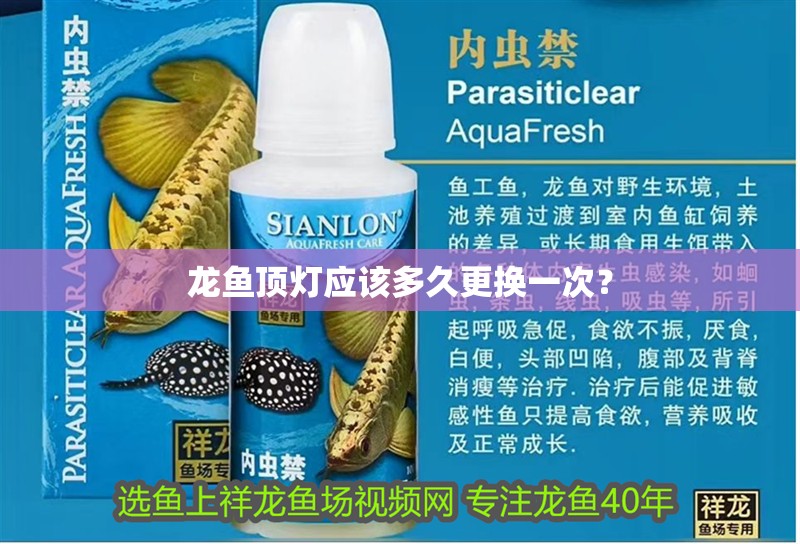 龍魚頂燈應(yīng)該多久更換一次？