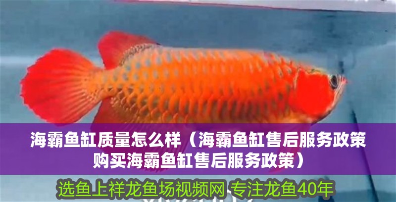 海霸魚缸質量怎么樣（海霸魚缸售后服務政策購買海霸魚缸售后服務政策）