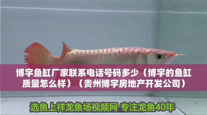 博宇魚缸廠家聯系電話號碼多少（博宇的魚缸質量怎么樣）（貴州博宇房地產開發公司） 博宇魚缸廠家聯系電話號碼多少（博宇的魚缸質量怎么樣）（貴州博宇房地產開發公司） 魚缸百科