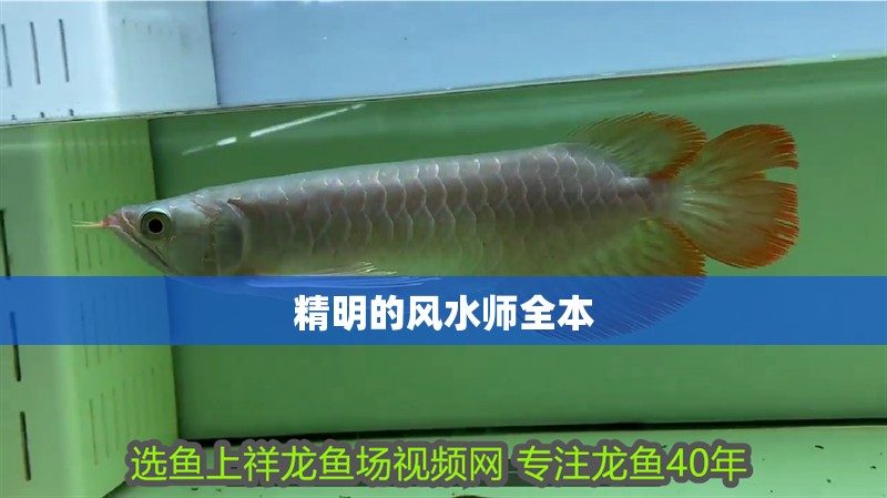 精明的風水師全本