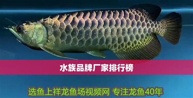 水族品牌廠家排行榜