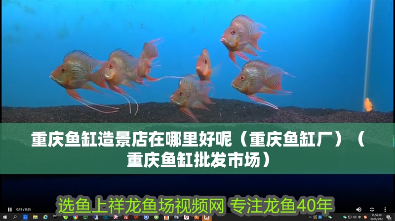 重慶魚缸造景店在哪里好呢（重慶魚缸廠）（重慶魚缸批發(fā)市場(chǎng)） 重慶魚缸造景店在哪里好呢（重慶魚缸廠）（重慶魚缸批發(fā)市場(chǎng)） 魚缸百科