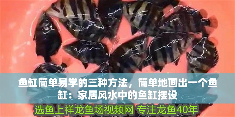 魚缸簡單易學的三種方法，簡單地畫出一個魚缸：家居風水中的魚缸擺設