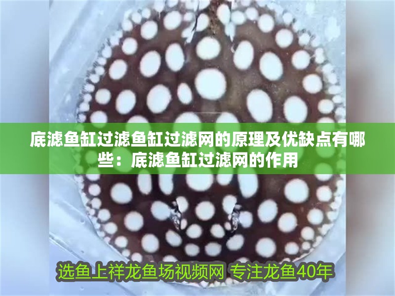 底濾魚缸過濾魚缸過濾網的原理及優缺點有哪些：底濾魚缸過濾網的作用