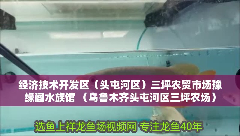 經(jīng)濟(jì)技術(shù)開發(fā)區(qū)（頭屯河區(qū)）三坪農(nóng)貿(mào)市場豫緣閣水族館 （烏魯木齊頭屯河區(qū)三坪農(nóng)場）