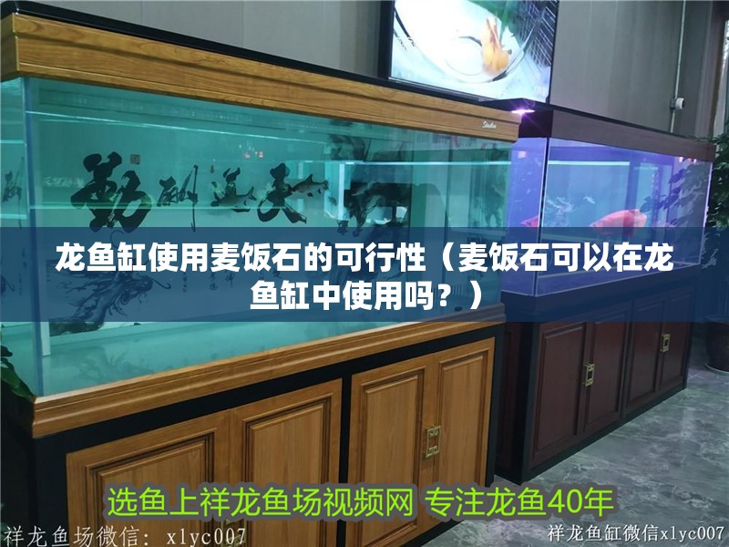 龍魚缸使用麥飯石的可行性（麥飯石可以在龍魚缸中使用嗎？）