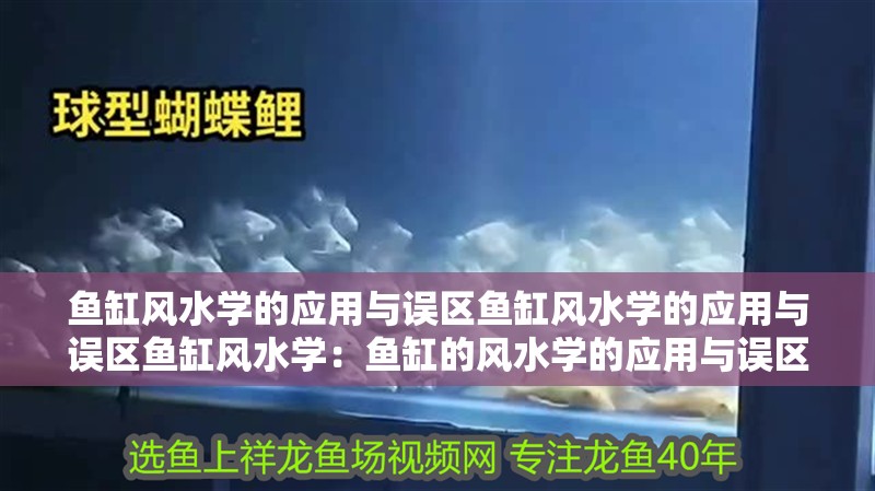 魚缸風水學的應用與誤區魚缸風水學的應用與誤區魚缸風水學：魚缸的風水學的應用與誤區