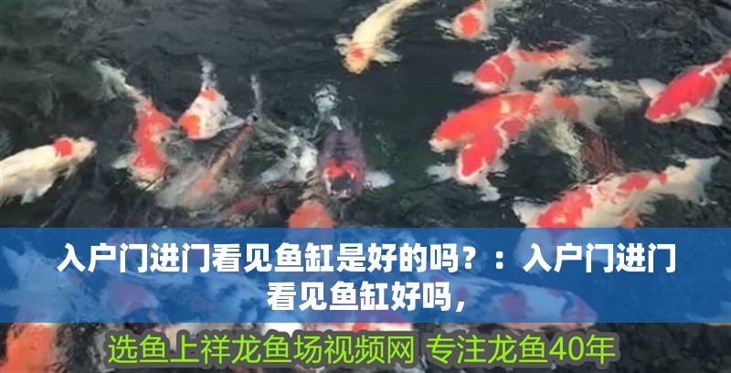 入戶門進門看見魚缸是好的嗎？：入戶門進門看見魚缸好嗎，