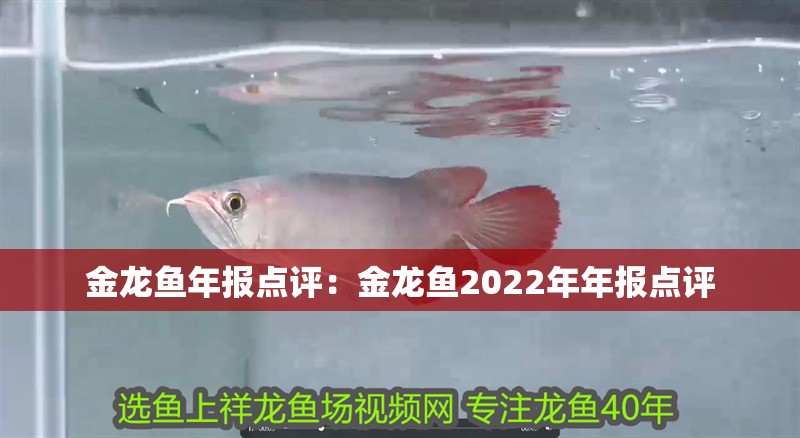 金龍魚年報點評：金龍魚2022年年報點評