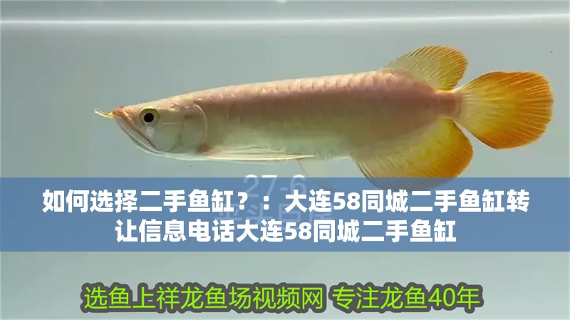 如何選擇二手魚缸？：大連58同城二手魚缸轉讓信息電話大連58同城二手魚缸