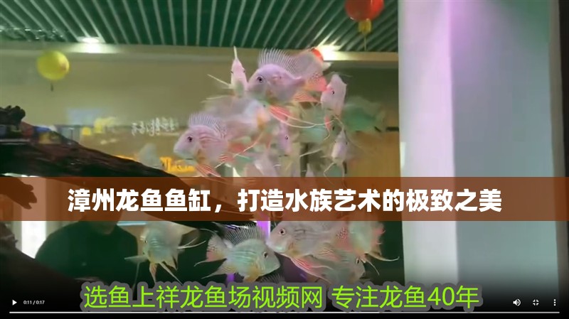 漳州龍魚魚缸，打造水族藝術的極致之美