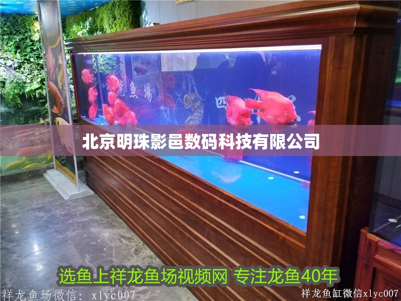 北京明珠影邑數碼科技有限公司