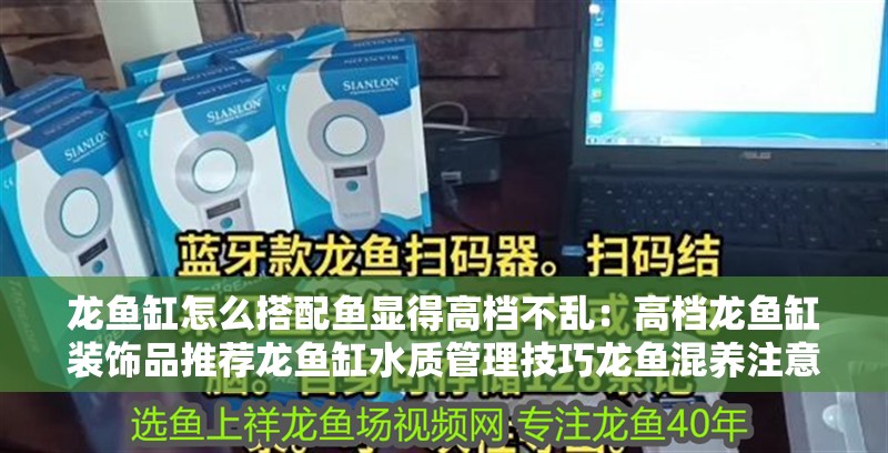 龍魚缸怎么搭配魚顯得高檔不亂：高檔龍魚缸裝飾品推薦龍魚缸水質管理技巧龍魚混養注意事項