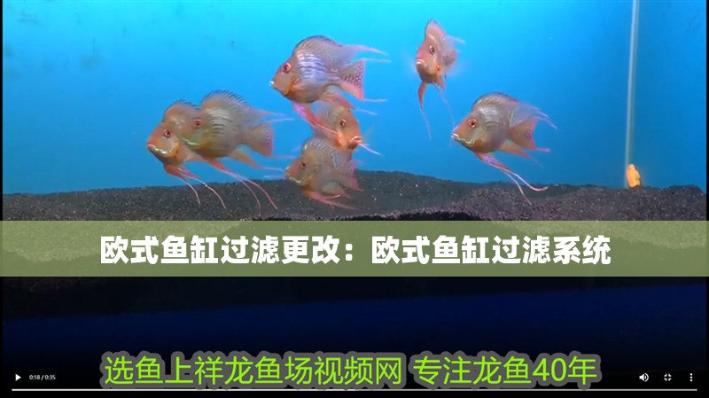 歐式魚缸過濾更改：歐式魚缸過濾系統