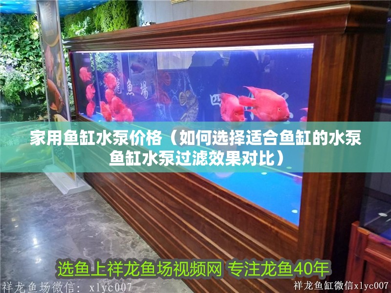 家用魚缸水泵價格（如何選擇適合魚缸的水泵魚缸水泵過濾效果對比）
