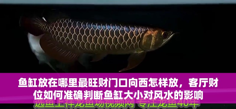 魚缸放在哪里最旺財門口向西怎樣放，客廳財位如何準(zhǔn)確判斷魚缸大小對風(fēng)水的影響