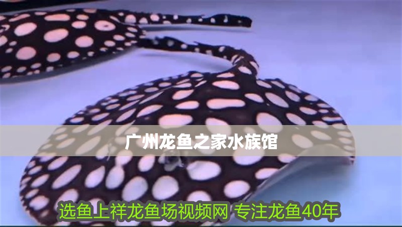 廣州龍魚之家水族館