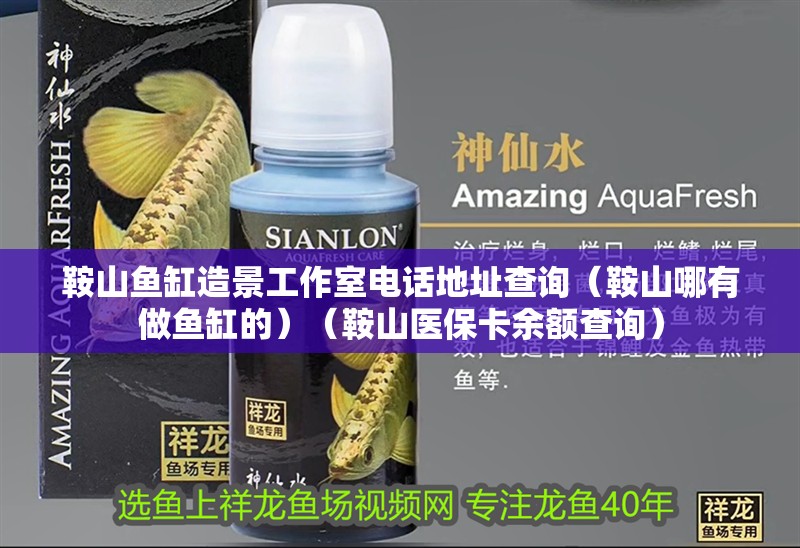 鞍山魚缸造景工作室電話地址查詢（鞍山哪有做魚缸的）（鞍山醫保卡余額查詢）