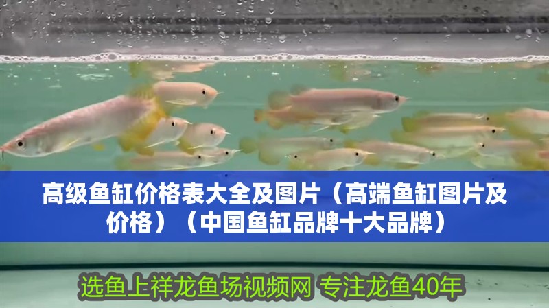 高級魚缸價格表大全及圖片（高端魚缸圖片及價格）（中國魚缸品牌十大品牌）