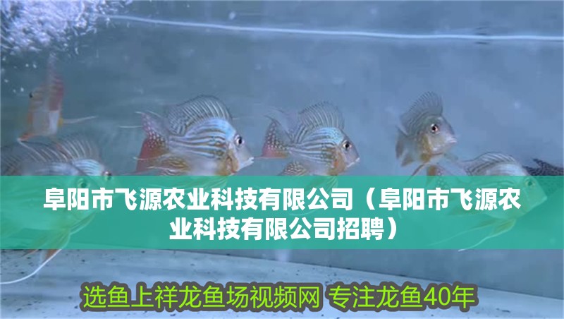 阜陽市飛源農業科技有限公司（阜陽市飛源農業科技有限公司招聘）
