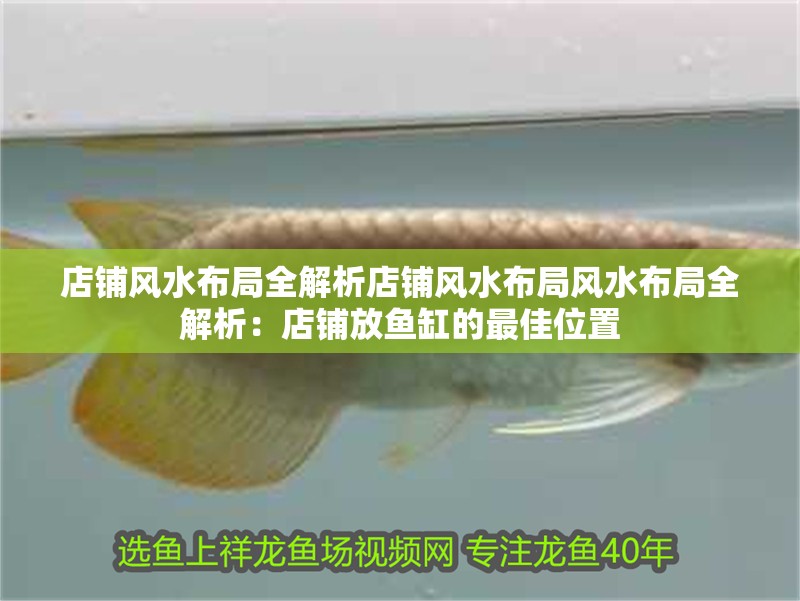 店鋪風水布局全解析店鋪風水布局風水布局全解析：店鋪放魚缸的最佳位置