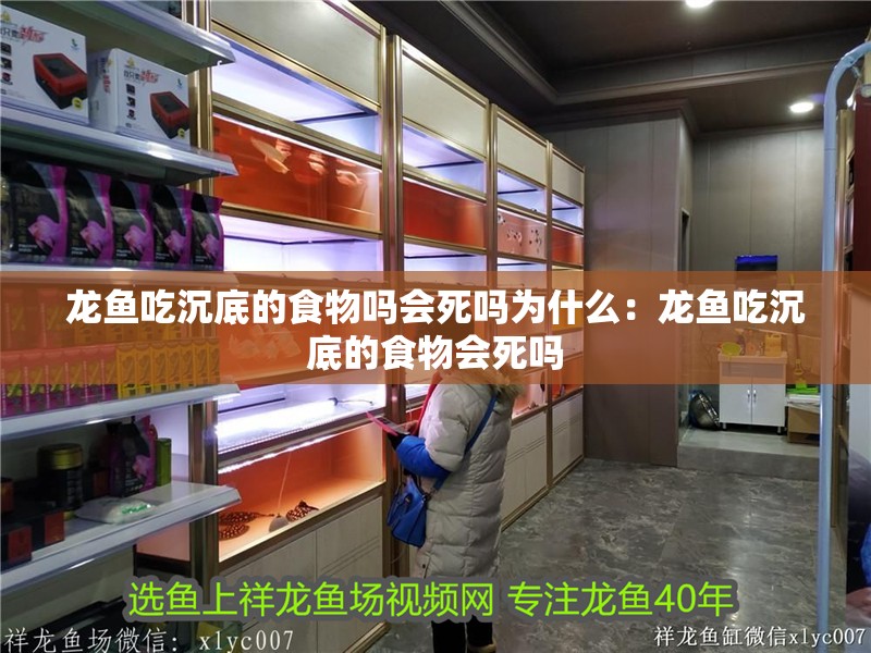 龍魚吃沉底的食物嗎會死嗎為什么：龍魚吃沉底的食物會死嗎