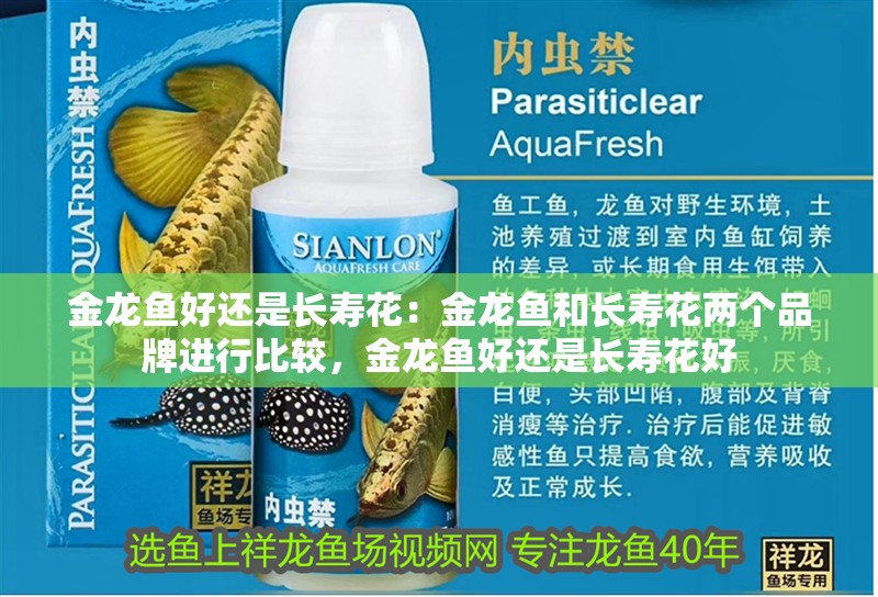 金龍魚好還是長壽花：金龍魚和長壽花兩個品牌進行比較，金龍魚好還是長壽花好