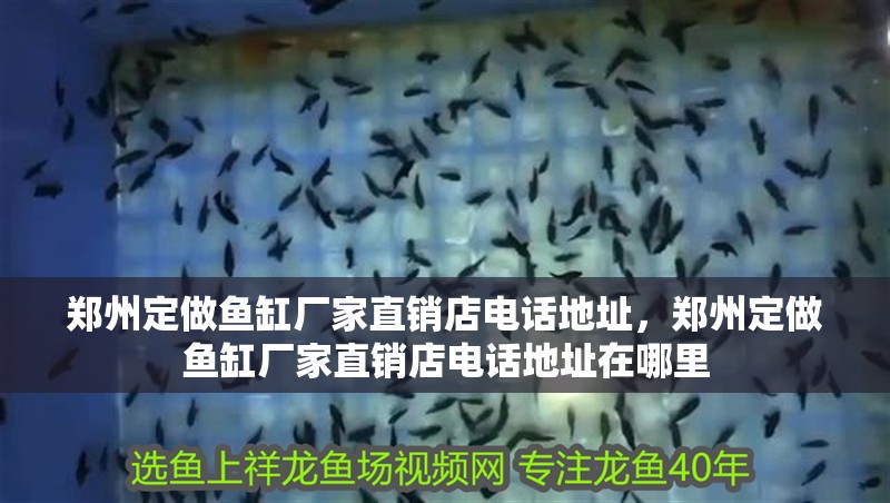 鄭州定做魚缸廠家直銷店電話地址，鄭州定做魚缸廠家直銷店電話地址在哪里
