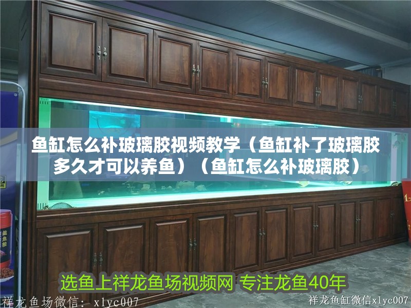 魚缸怎么補玻璃膠視頻教學（魚缸補了玻璃膠多久才可以養魚）（魚缸怎么補玻璃膠）
