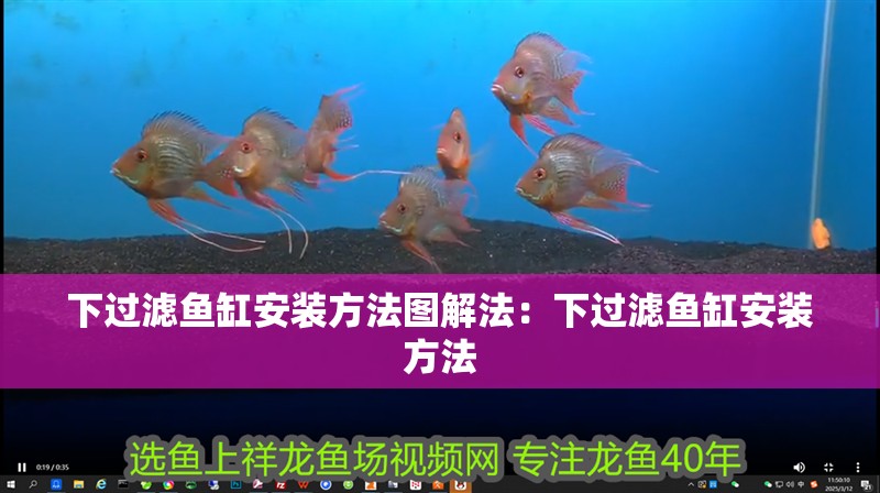 下過濾魚缸安裝方法圖解法：下過濾魚缸安裝方法 下過濾魚缸安裝方法圖解法：下過濾魚缸安裝方法 魚缸百科
