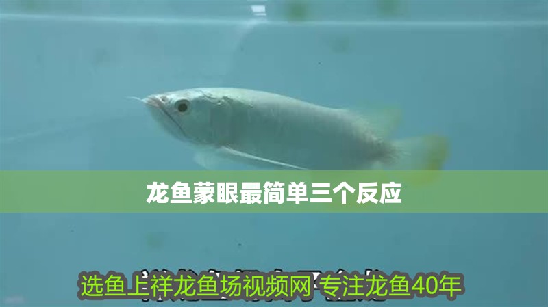 龍魚(yú)蒙眼最簡(jiǎn)單三個(gè)反應(yīng)
