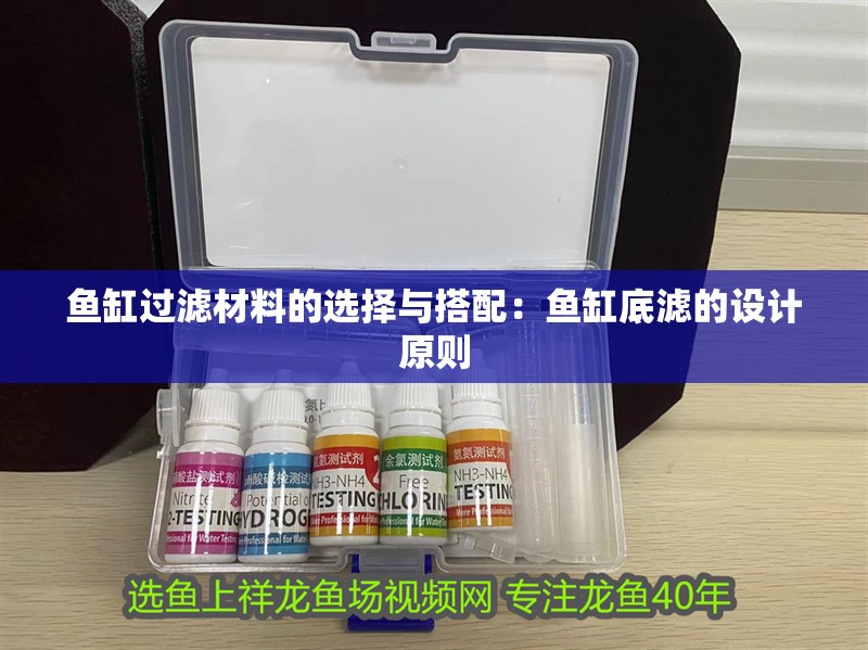 魚缸過濾材料的選擇與搭配：魚缸底濾的設計原則 魚缸過濾材料的選擇與搭配：魚缸底濾的設計原則 魚缸百科