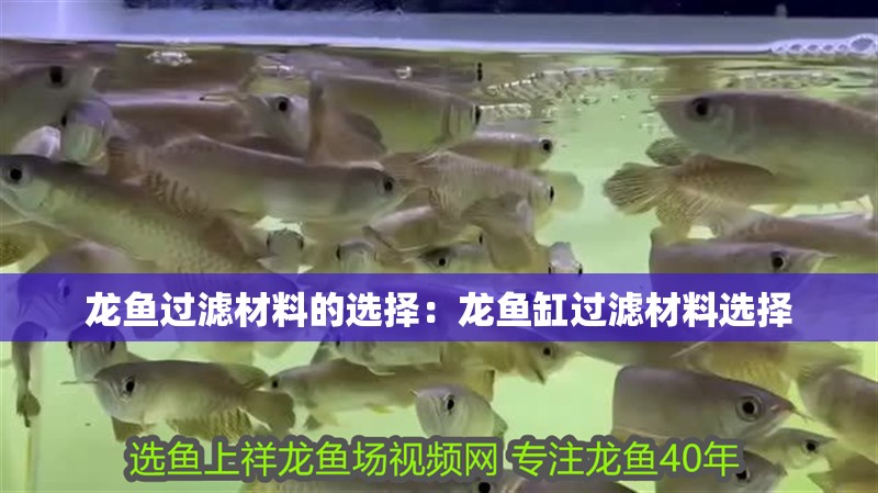 龍魚(yú)過(guò)濾材料的選擇：龍魚(yú)缸過(guò)濾材料選擇