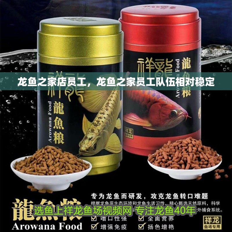 龍魚之家店員工，龍魚之家員工隊(duì)伍相對(duì)穩(wěn)定 龍魚之家店員工，龍魚之家員工隊(duì)伍相對(duì)穩(wěn)定 龍魚百科