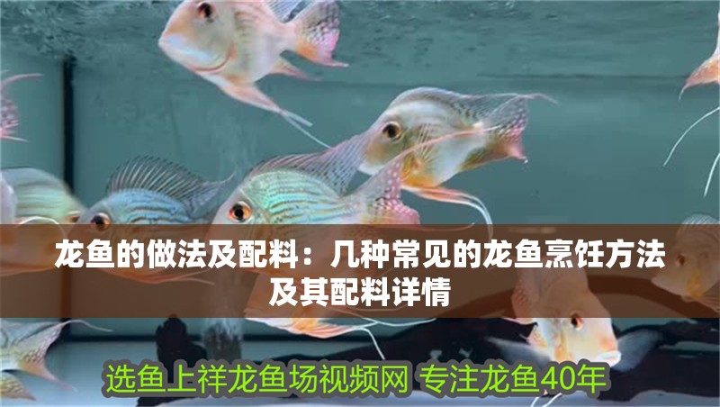 龍魚的做法及配料：幾種常見的龍魚烹飪方法及其配料詳情