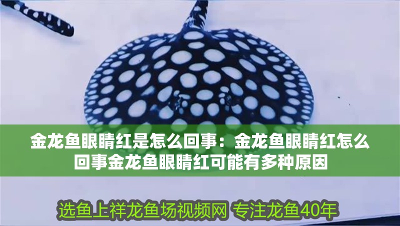 金龍魚眼睛紅是怎么回事：金龍魚眼睛紅怎么回事金龍魚眼睛紅可能有多種原因