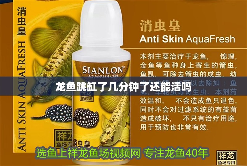 龍魚跳缸了幾分鐘了還能活嗎