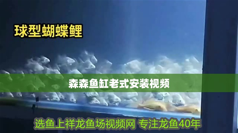 森森魚缸老式安裝視頻