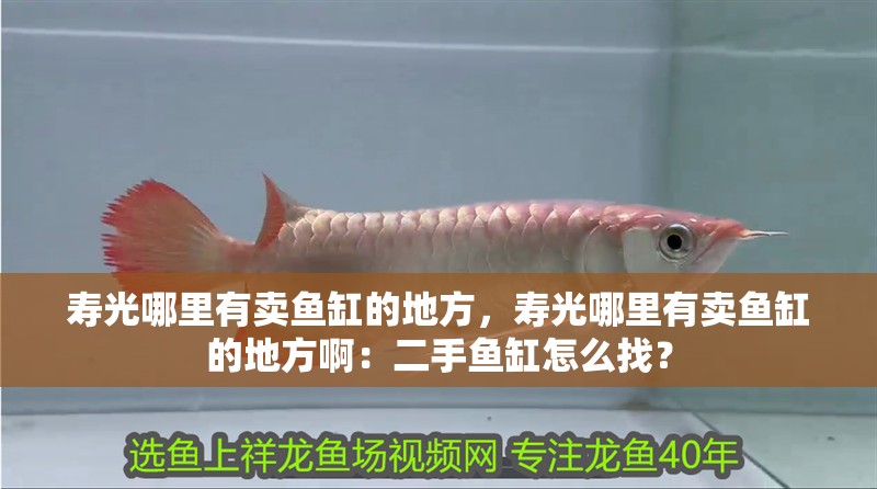 壽光哪里有賣魚缸的地方，壽光哪里有賣魚缸的地方啊：二手魚缸怎么找？