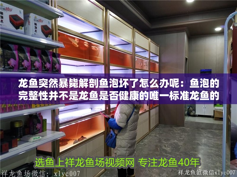 龍魚突然暴斃解剖魚泡壞了怎么辦呢：魚泡的完整性并不是龍魚是否健康的唯一標準龍魚的健康狀況