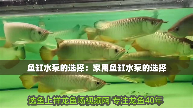 魚缸水泵的選擇：家用魚缸水泵的選擇