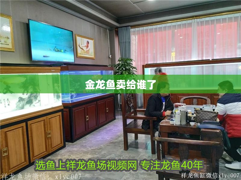 金龍魚賣給誰了