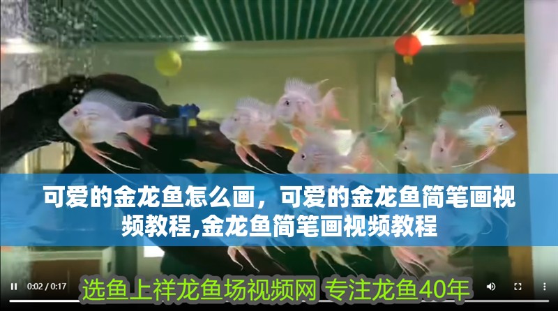 可愛的金龍魚怎么畫，可愛的金龍魚簡筆畫視頻教程,金龍魚簡筆畫視頻教程
