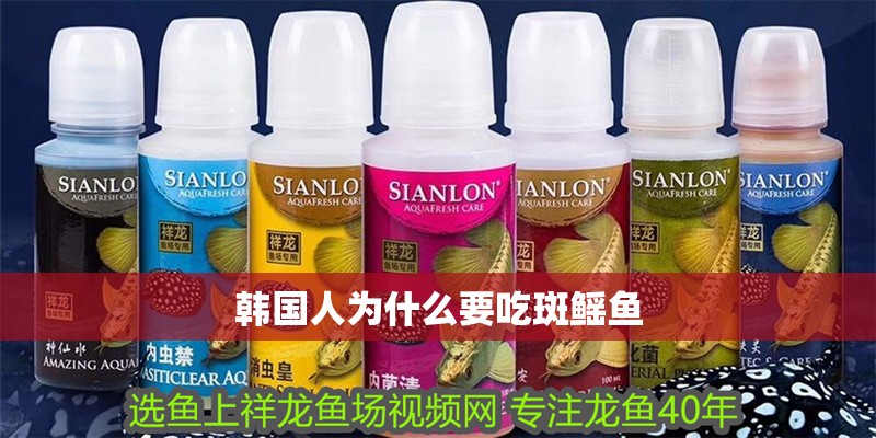 韓國人為什么要吃斑鰩魚
