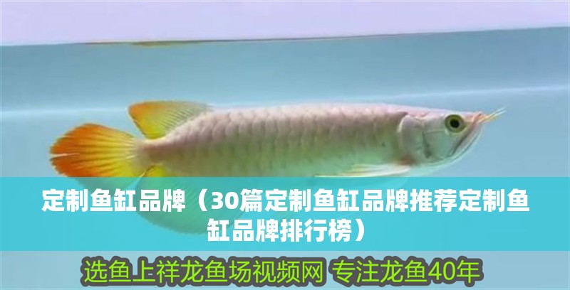 定制魚缸品牌（30篇定制魚缸品牌推薦定制魚缸品牌排行榜）